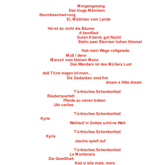 GV Frohsinn 1921 Stettfeld  Ltg. Klaus Siefert Wahlchor: N. W. Gade, Arr.: K.-J. Müller -  1: Morgengesang   2: Wahlchor: Volkslied, Arr.: B. Weber -  Das kluge Männlein Wahlchor: J. Falk -   3: Sturmbeschwörung Wahlchor: Volkslied, Arr.: W. Klink -  4: Ei, Mädchen vom Lande Fächerchor Karlsruhe e.V. Chorverband Karlsruhe Ltg. Peter Arestov   5: Wahlchor: P. Theissen -  Hörst du nicht die Bäume Wahlchor: M. Schweikert, Arr.: P. Arestov -   6: Abendlied   7: Wahlchor: J. Brahms, Arr.: G. Mezzalira -  Guten Abend, gut Nacht   8: Wahlchor: Volkslied, Arr.: W. Jung-Faber -  Stehn zwei Stern‘ am hohen Himmel MGV Frohsinn 1908 Robern  Ltg. Volker Benz   9: Wahlchor: Volkslied, Arr.: H. Lemmermann -  Hab mein Wage vollgelade 10: Wahlchor: Volkslied, Arr.: R.Kühn -  Muß i denn 11: Wahlchor: K.-H. Wolters -  Marsch vom kleinen Mann 12: Wahlchor: Volkslied, Arr.: M. Rickert -  Das Wandern ist des Müllers Lust Gesangsgruppe Belcanto e.V. Eggenstein-Leopoldshafen Ltg. Jutta Braun-Wingert 13: Pflichtchor: J. Golle -  daß Töne tragen können… 14: Wahlchor: Volkslied, Arr.: R. Sund -  Die Gedanken sind frei 15: Wahlchor: G. Kahn, W. Schwandt, F. Andre, Arr.: O. Gies -  dream a little dream  MGV „Liederkranz“ 1885 e.V. Waldwimmersbach Heidelberg Ltg. Armin Seitz Pflichtchor: F. Mendelssohn Bartholdy -  16: Türkisches Schenkenlied Wahlchor: F. Schubert -  17: Räuberquartett Wahlchor: Volkslied, Arr.: P. Zoll -  18: Pferde zu vieren traben Wahlchor: A. M. Schronen -  19: Ubi caritas MGV Sängervereinigung Liederkranz 1899 Reihen e.V.  Ltg. Prof. Dr. Rainer Uhler Pflichtchor: F. Mendelssohn Bartholdy -  20: Türkisches Schenkenlied Wahlchor: M. Folz -  21: Kyrie Wahlchor: Volkslied, Arr.: Q. Rische -  22: Wohlauf in Gottes schöne Welt MGV Sängerbund 1860 Altheim  Ltg. Michael Wüst Pflichtchor: F. Mendelssohn Bartholdy -  23: Türkisches Schenkenlied Wahlchor: P. Jańczak -  24: Kyrie Wahlchor: Volkslied, Arr.: W. Heinrichs -  25: Jascha spielt auf MGV Schwarzwald Oberried e.V.  Ltg. Dr. Michael Weh Pflichtchor: F. Mendelssohn Bartholdy -  26: Türkisches Schenkenlied Wahlchor: T. Ortelli, Arr.: L. Pigarelli -  27: La Montanara Wahlchor: H. Genzmer -  28: Die Gewißheit Wahlchor: Volkslied, Arr.: W. Heinrichs -  29: Kad si bila mala, mare